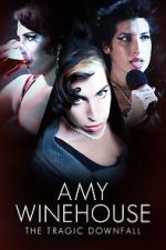 Watch Amy Winehouse: The Tragic Downfall Megavideo