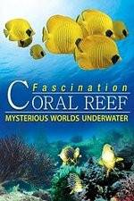 Watch Fascination Coral Reef: Mysterious Worlds Underwater Megavideo