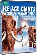 Watch Woolly Mammoth: Secrets from the Ice Megavideo
