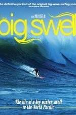 Watch The Big Swell Megavideo