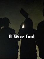 Watch A Wise Fool Megavideo