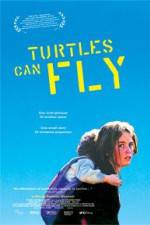 Watch Turtles Can Fly Megavideo