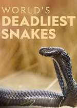 Watch World's Deadliest Snakes Megavideo