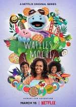 Watch Waffles + Mochi Megavideo