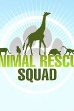 Watch Animal Rescue Squad Megavideo