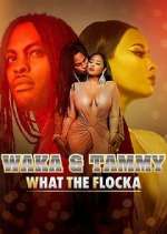 Watch Waka & Tammy: What the Flocka Megavideo