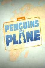 Watch Penguins on a Plane Megavideo