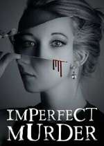 Watch Imperfect Murder Megavideo