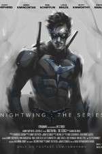 Watch Nightwing: The Series Megavideo