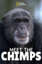 Watch Meet the Chimps Megavideo