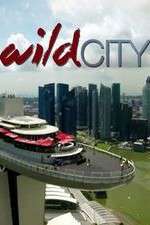Watch Wild City Megavideo