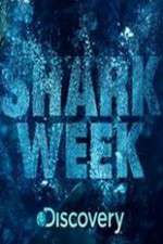 Watch Shark Week Megavideo