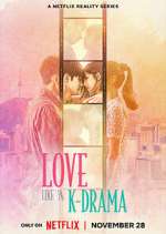 Watch Love Like a K-Drama Megavideo