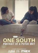 Watch One South: Portrait of a Psych Unit Megavideo