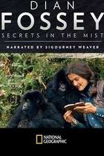 Watch Dian Fossey: Secrets in the Mist Megavideo