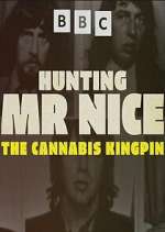 Watch Hunting Mr Nice: The Cannabis Kingpin Megavideo