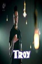 Watch Troy Megavideo