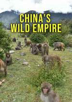 Watch China's Wild Empire Megavideo