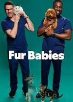 Watch Fur Babies Megavideo