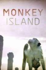 Watch Monkey Island Megavideo
