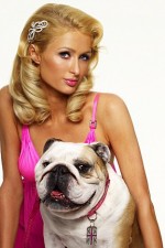 Watch Paris Hilton's British Best Friend Megavideo