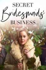 Watch Secret Bridesmaids\' Business Megavideo