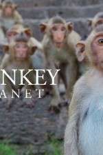 Watch Monkey Planet Megavideo