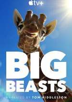 Watch Big Beasts Megavideo