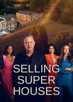 Watch Selling Super Houses Megavideo