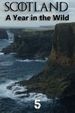 Watch Scotland: A Wild Year Megavideo