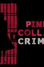 Watch Pink Collar Crimes Megavideo