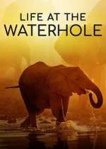 Watch Life at the Waterhole Megavideo