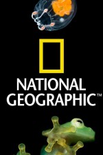 Watch Nat Geo Amazing! Megavideo