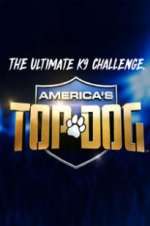 Watch America\'s Top Dog Megavideo