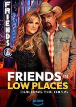 Watch Friends in Low Places Megavideo