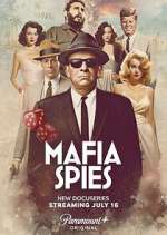 Watch Mafia Spies Megavideo