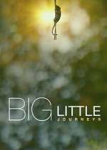 Watch Big Little Journeys Megavideo