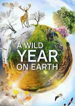 Watch A Wild Year on Earth Megavideo