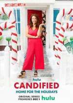 Watch Candified: Home for the Holidays Megavideo