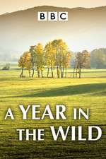 Watch A Year in the Wild Megavideo