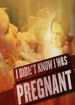 Watch I Didn't Know I Was Pregnant Megavideo