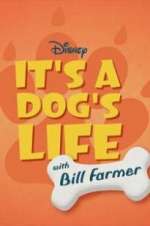 Watch It\'s a Dog\'s Life with Bill Farmer Megavideo