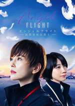 Watch Angel Flight Megavideo