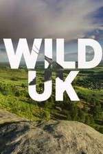 Watch Wild UK Megavideo