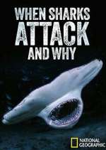 Watch When Sharks Attack... And Why Megavideo
