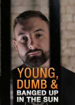 Watch Young Dumb & Banged Up in the Sun Megavideo