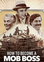 Watch How to Become a Mob Boss Megavideo