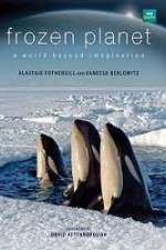 Watch Frozen Planet Megavideo