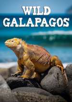 Watch Wild Galapagos Megavideo
