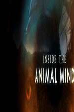 Watch Inside the Animal Mind Megavideo